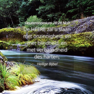 Picture 04 - Deuteronomium 28:28 NLD - De HEERE zal u slaan met onzinnigheid, en met - Bible Verse Picture