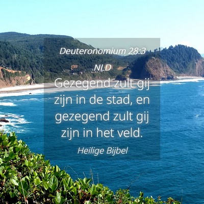 Picture 04 - Deuteronomium 28:3 NLD - Gezegend zult gij zijn in de stad, en gezegend - Bible Verse Picture
