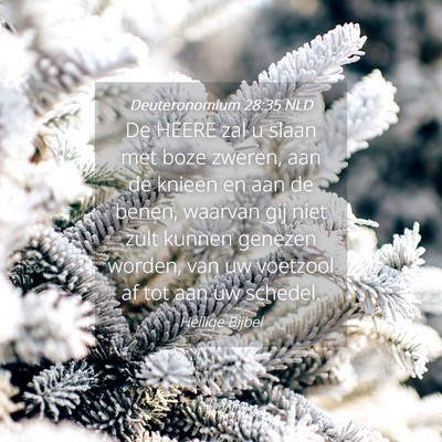 Picture 04 - Deuteronomium 28:35 NLD - De HEERE zal u slaan met boze zweren, aan de - Bible Verse Picture