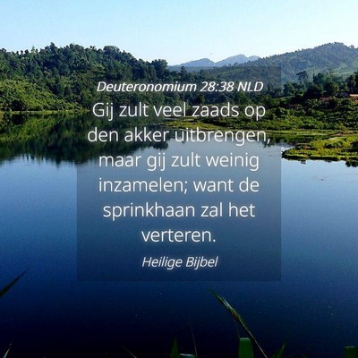 Picture 04 - Deuteronomium 28:38 NLD - Gij zult veel zaads op den akker uitbrengen, maar - Bible Verse Picture