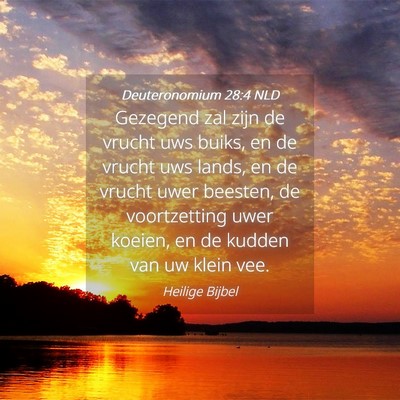Picture 04 - Deuteronomium 28:4 NLD - Gezegend zal zijn de vrucht uws buiks, en de - Bible Verse Picture
