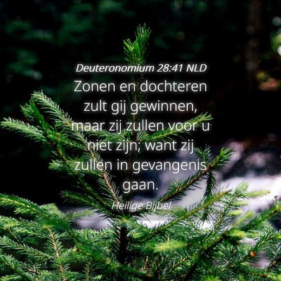 Picture 04 - Deuteronomium 28:41 NLD - Zonen en dochteren zult gij gewinnen, maar zij - Bible Verse Picture