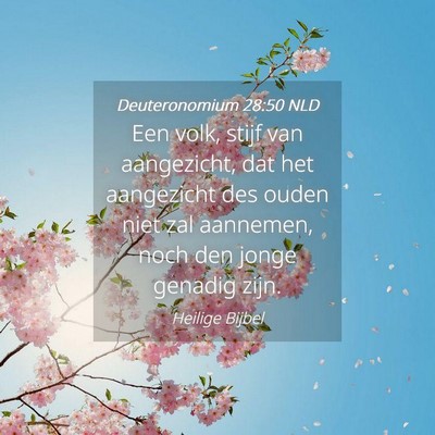 Picture 04 - Deuteronomium 28:50 NLD - Een volk, stijf van aangezicht, dat het - Bible Verse Picture