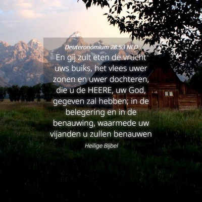 Picture 04 - Deuteronomium 28:53 NLD - En gij zult eten de vrucht uws buiks, het vlees - Bible Verse Picture