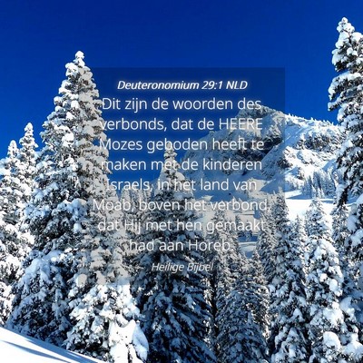 Picture 04 - Deuteronomium 29:1 NLD - Dit zijn de woorden des verbonds, dat de HEERE - Bible Verse Picture