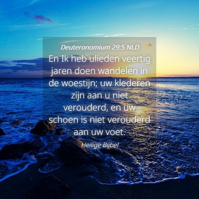 Picture 04 - Deuteronomium 29:5 NLD - En Ik heb ulieden veertig jaren doen wandelen in - Bible Verse Picture