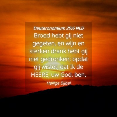 Picture 04 - Deuteronomium 29:6 NLD - Brood hebt gij niet gegeten, en wijn en sterken - Bible Verse Picture