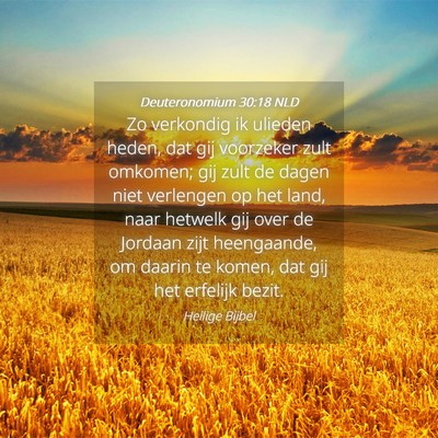 Picture 04 - Deuteronomium 30:18 NLD - Zo verkondig ik ulieden heden, dat gij voorzeker - Bible Verse Picture