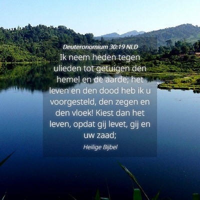 Picture 04 - Deuteronomium 30:19 NLD - Ik neem heden tegen ulieden tot getuigen den - Bible Verse Picture