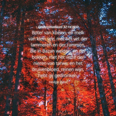 Picture 04 - Deuteronomium 32:14 NLD - Boter van koeien, en melk van klein vee, met het - Bible Verse Picture