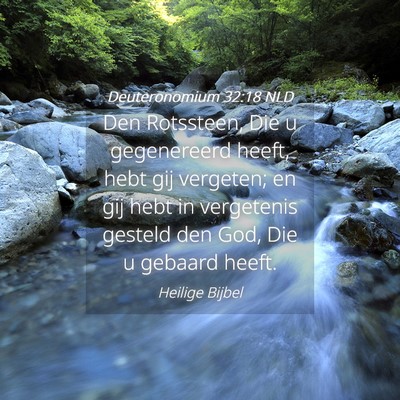 Picture 04 - Deuteronomium 32:18 NLD - Den Rotssteen, Die u gegenereerd heeft, hebt gij - Bible Verse Picture