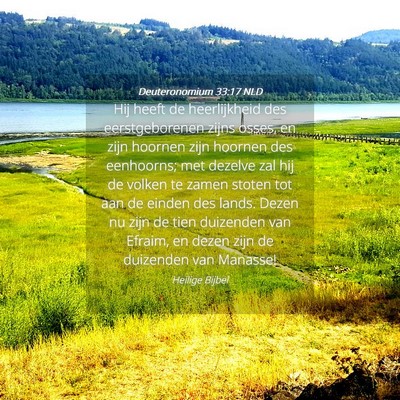 Picture 04 - Deuteronomium 33:17 NLD - Hij heeft de heerlijkheid des eerstgeborenen - Bible Verse Picture