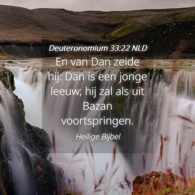 Picture 04 - Deuteronomium 33:22 NLD - En van Dan zeide hij: Dan is een jonge leeuw; hij - Bible Verse Picture