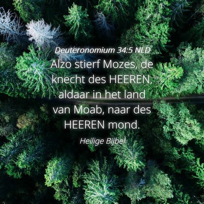 Picture 04 - Deuteronomium 34:5 NLD - Alzo stierf Mozes, de knecht des HEEREN, aldaar - Bible Verse Picture