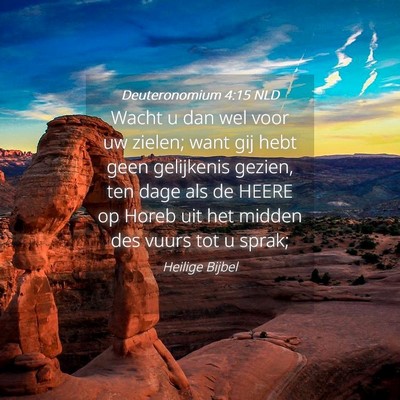 Picture 04 - Deuteronomium 4:15 NLD - Wacht u dan wel voor uw zielen; want gij hebt - Bible Verse Picture