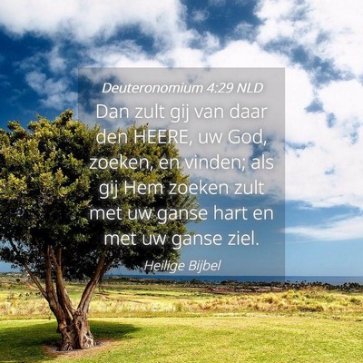 Picture 04 - Deuteronomium 4:29 NLD - Dan zult gij van daar den HEERE, uw God, zoeken, - Bible Verse Picture
