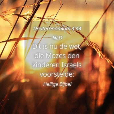 Picture 04 - Deuteronomium 4:44 NLD - Dit is nu de wet, die Mozes den kinderen Israels - Bible Verse Picture