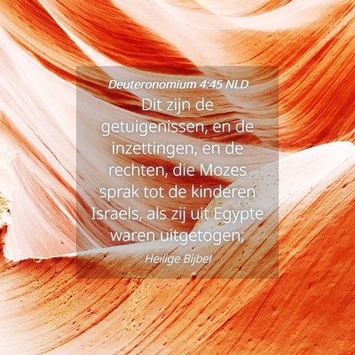 Picture 04 - Deuteronomium 4:45 NLD - Dit zijn de getuigenissen, en de inzettingen, en - Bible Verse Picture