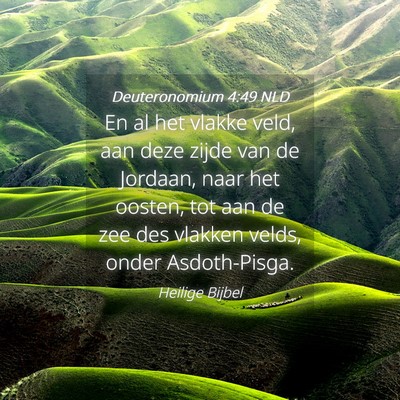 Picture 04 - Deuteronomium 4:49 NLD - En al het vlakke veld, aan deze zijde van de - Bible Verse Picture