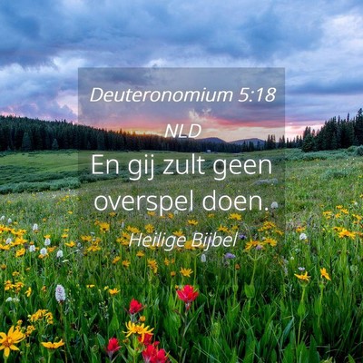 Picture 04 - Deuteronomium 5:18 NLD - En gij zult geen overspel - Bible Verse Picture