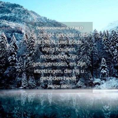 Picture 04 - Deuteronomium 6:17 NLD - Gij zult de geboden des HEEREN, uws Gods, vlijtig - Bible Verse Picture