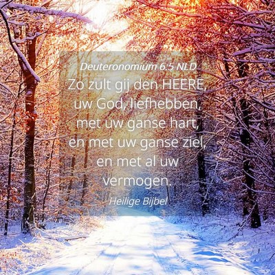 Picture 04 - Deuteronomium 6:5 NLD - Zo zult gij den HEERE, uw God, liefhebben, met uw - Bible Verse Picture