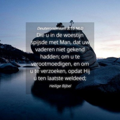 Picture 04 - Deuteronomium 8:16 NLD - Die u in de woestijn spijsde met Man, dat uw - Bible Verse Picture