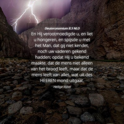 Picture 04 - Deuteronomium 8:3 NLD - En Hij verootmoedigde u, en liet u hongeren, en - Bible Verse Picture