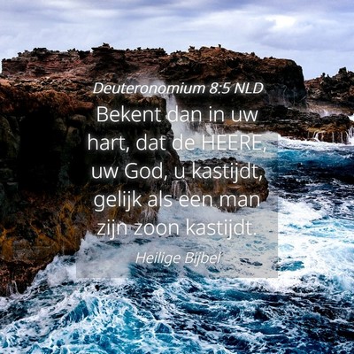 Picture 04 - Deuteronomium 8:5 NLD - Bekent dan in uw hart, dat de HEERE, uw God, u - Bible Verse Picture