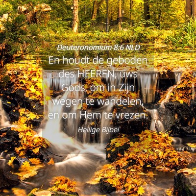Picture 04 - Deuteronomium 8:6 NLD - En houdt de geboden des HEEREN, uws Gods, om in - Bible Verse Picture