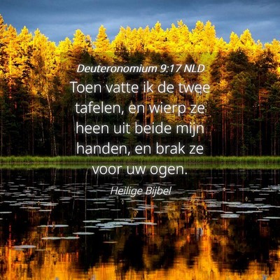Picture 04 - Deuteronomium 9:17 NLD - Toen vatte ik de twee tafelen, en wierp ze heen - Bible Verse Picture