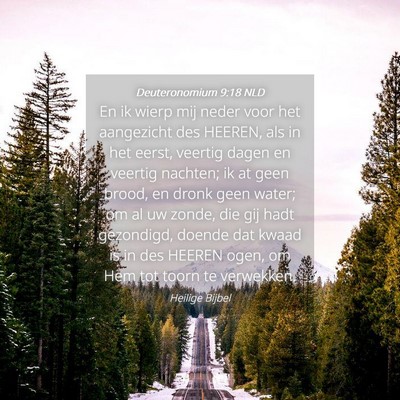Picture 04 - Deuteronomium 9:18 NLD - En ik wierp mij neder voor het aangezicht des - Bible Verse Picture