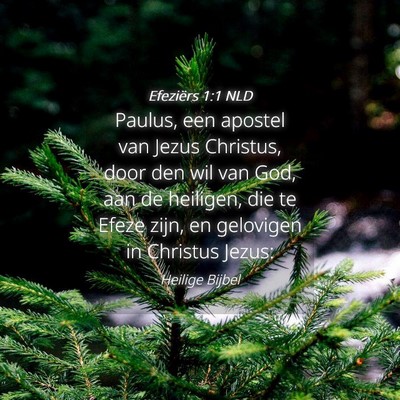Picture 04 - Efeziërs 1:1 NLD - Paulus, een apostel van Jezus Christus, door den - Bible Verse Picture