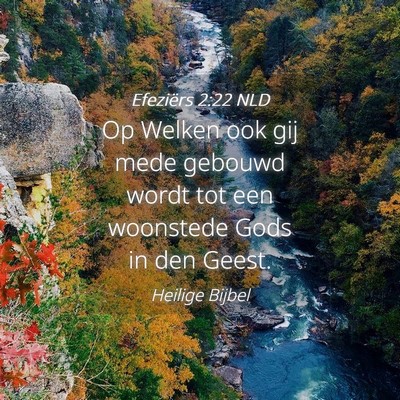 Picture 04 - Efeziërs 2:22 NLD - Op Welken ook gij mede gebouwd wordt tot een - Bible Verse Picture