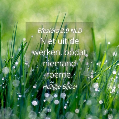 Picture 04 - Efeziërs 2:9 NLD - Niet uit de werken, opdat niemand - Bible Verse Picture