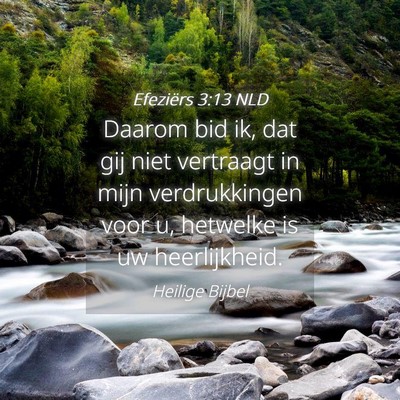 Picture 04 - Efeziërs 3:13 NLD - Daarom bid ik, dat gij niet vertraagt in mijn - Bible Verse Picture