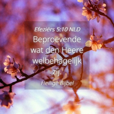 Picture 04 - Efeziërs 5:10 NLD - Beproevende wat den Heere welbehagelijk - Bible Verse Picture