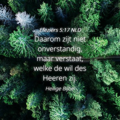 Picture 04 - Efeziërs 5:17 NLD - Daarom zijt niet onverstandig, maar verstaat, - Bible Verse Picture