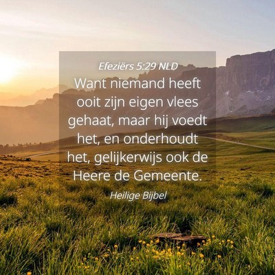 Picture 04 - Efeziërs 5:29 NLD - Want niemand heeft ooit zijn eigen vlees gehaat, - Bible Verse Picture