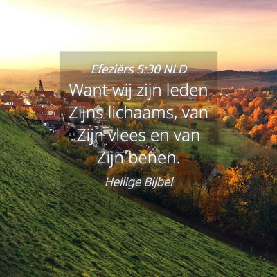 Picture 04 - Efeziërs 5:30 NLD - Want wij zijn leden Zijns lichaams, van Zijn - Bible Verse Picture