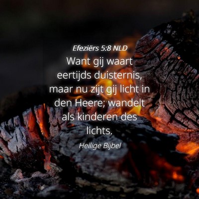 Picture 04 - Efeziërs 5:8 NLD - Want gij waart eertijds duisternis, maar nu zijt - Bible Verse Picture