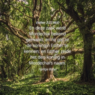 Picture 04 - Esther 2:22 NLD - En deze zaak werd Mordechai bekend gemaakt, en - Bible Verse Picture