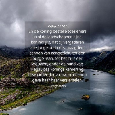 Picture 04 - Esther 2:3 NLD - En de koning bestelle toezieners in al de - Bible Verse Picture