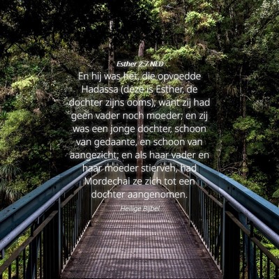 Picture 04 - Esther 2:7 NLD - En hij was het, die opvoedde Hadassa (deze is - Bible Verse Picture