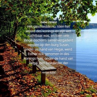 Picture 04 - Esther 2:8 NLD - Het geschiedde nu, toen het woord des konings en - Bible Verse Picture