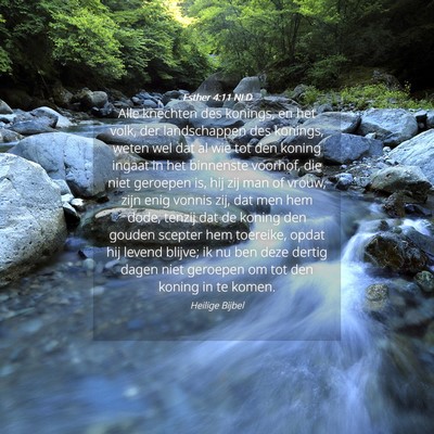 Picture 04 - Esther 4:11 NLD - Alle knechten des konings, en het volk, der - Bible Verse Picture