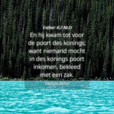 Picture 04 - Esther 4:2 NLD - En hij kwam tot voor de poort des konings; want - Bible Verse Picture