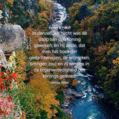 Picture 04 - Esther 6:1 NLD - In denzelfden nacht was de slaap van den koning - Bible Verse Picture