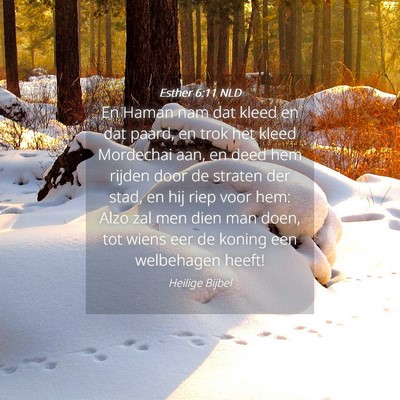 Picture 04 - Esther 6:11 NLD - En Haman nam dat kleed en dat paard, en trok het - Bible Verse Picture