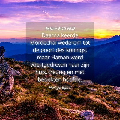 Picture 04 - Esther 6:12 NLD - Daarna keerde Mordechai wederom tot de poort des - Bible Verse Picture
